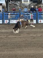 IMG_1463.jpeg