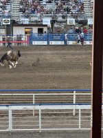 IMG_1466.jpeg