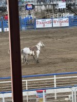 IMG_1477.jpeg