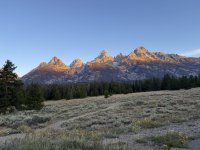 IMG_1342.jpeg