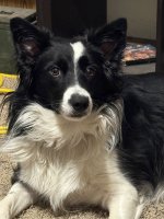 IMG_0544.jpeg