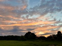 IMG_0251.jpeg