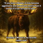 IMG_2360.jpeg