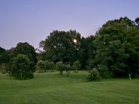 IMG_0285.jpeg