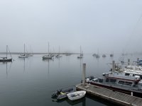 IMG_8486.jpeg