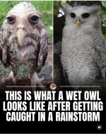 1754707078901.png