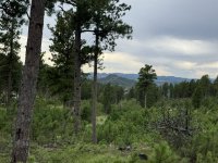 IMG_1893.jpeg