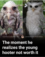 1754707078901.png
