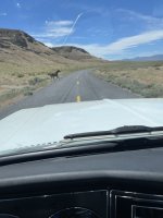 IMG_1233.jpeg