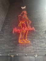 IMG_9574.jpeg