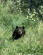 IMG_9820.jpeg