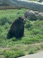 IMG_9825.jpeg
