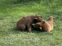 IMG_9828.jpeg