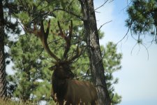 IMG_7132.jpeg