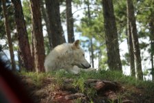 IMG_7140.jpeg