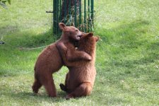 IMG_7190.jpeg