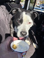 IMG_4713.jpeg