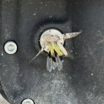 IMG_3605.jpeg