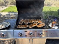 IMG_4715.jpeg