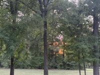 IMG_4035.jpeg