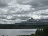 IMG_9868.jpeg