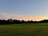 IMG_0309.jpeg