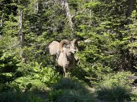 IMG_4744.jpeg