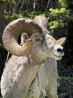 IMG_4756.jpeg