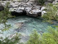 IMG_9921.jpeg