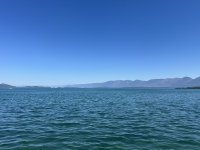 IMG_9946.jpeg