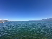 IMG_9945.jpeg