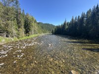 IMG_9974.jpeg
