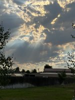 IMG_2051.jpeg