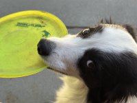 IMG_3729.jpeg