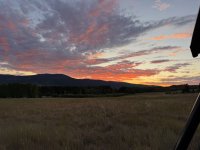 IMG_0276.jpeg