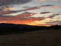 IMG_0274.jpeg