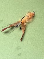 IMG_6040.jpeg