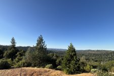 IMG_2446.jpeg