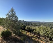 IMG_2447.jpeg