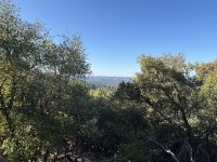 IMG_2448.jpeg