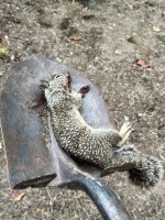 IMG_1355.jpeg