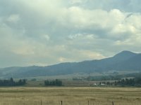 IMG_4971.jpeg