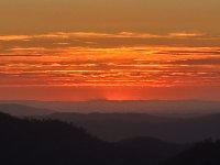 IMG_2468.jpeg