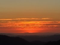 IMG_2465.jpeg
