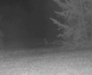 1000038743.gif