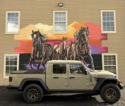 IMG_8043.jpeg