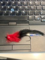 IMG_6741.jpeg