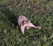 IMG_4053.jpeg