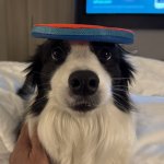 IMG_3897.jpeg