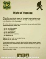 IMG_2489.jpeg